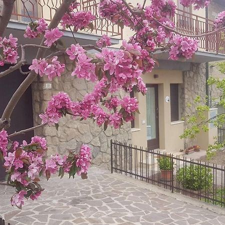La Casina Di Nonna Giulia Διαμέρισμα Castiglione dʼOrcia Εξωτερικό φωτογραφία