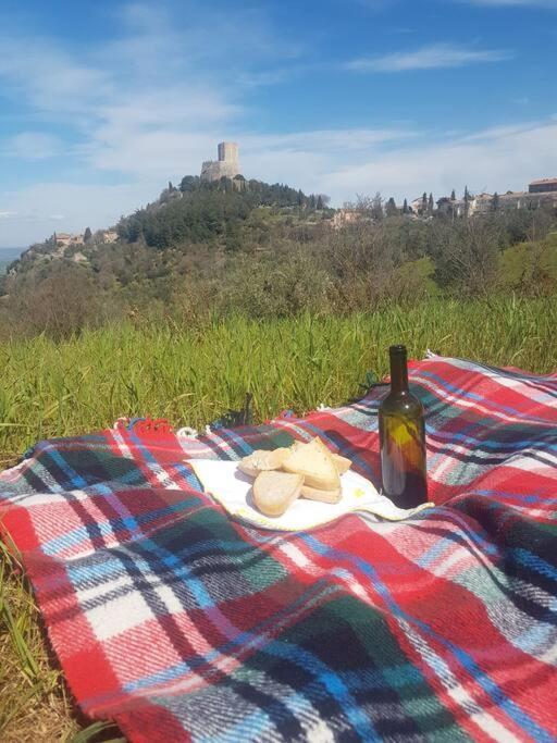 La Casina Di Nonna Giulia Διαμέρισμα Castiglione dʼOrcia Εξωτερικό φωτογραφία