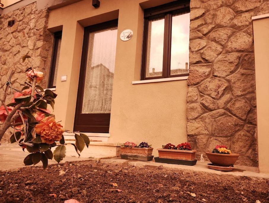 La Casina Di Nonna Giulia Διαμέρισμα Castiglione dʼOrcia Εξωτερικό φωτογραφία