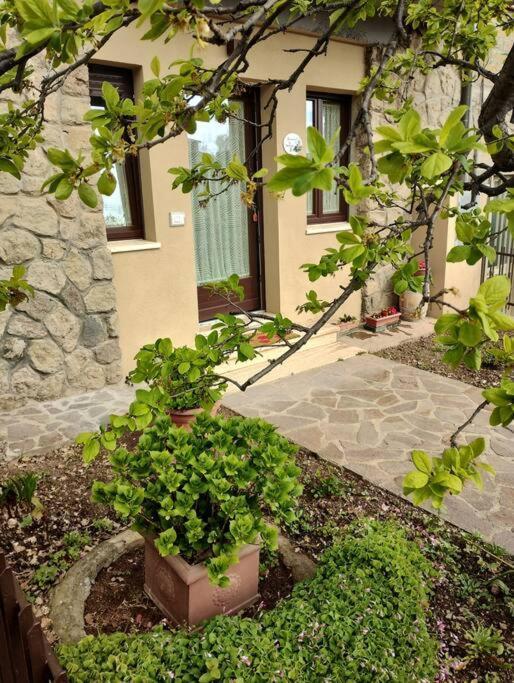 La Casina Di Nonna Giulia Διαμέρισμα Castiglione dʼOrcia Εξωτερικό φωτογραφία