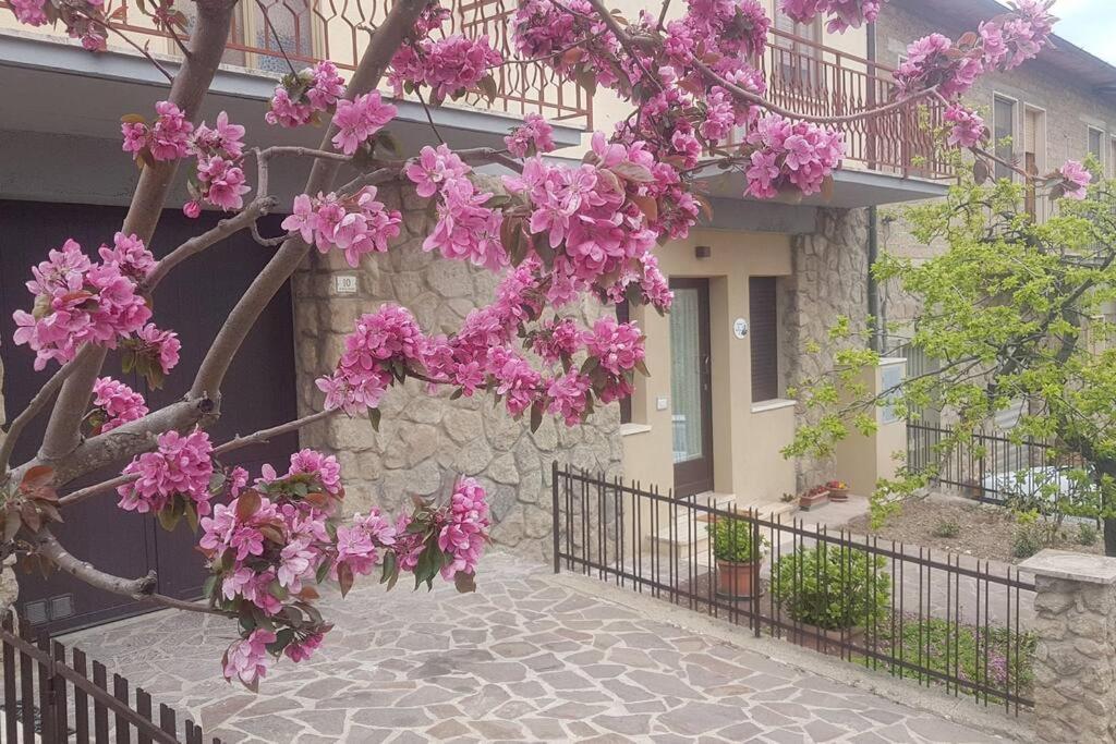La Casina Di Nonna Giulia Διαμέρισμα Castiglione dʼOrcia Εξωτερικό φωτογραφία